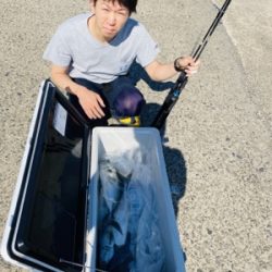 シーモンキー 釣果