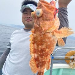 シードリーム 釣果