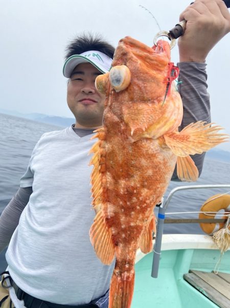 シードリーム 釣果