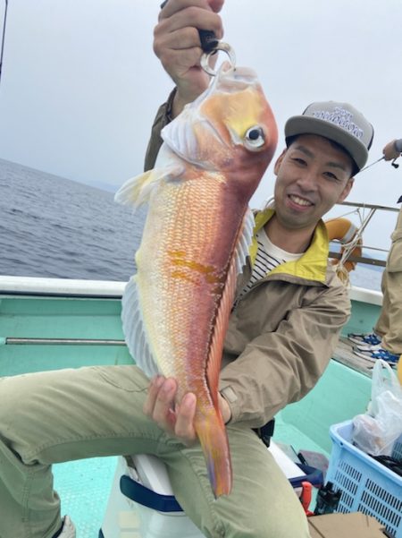 シードリーム 釣果