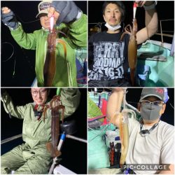 シードリーム 釣果