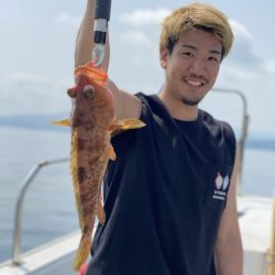 リトルワン 釣果