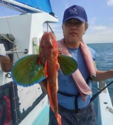 東京湾探釣隊ぼっち 釣果