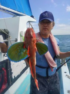 東京湾探釣隊ぼっち 釣果