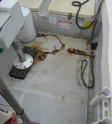 東京湾探釣隊ぼっち 釣果