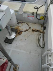 東京湾探釣隊ぼっち 釣果