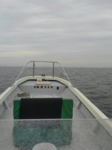東京湾探釣隊ぼっち 釣果