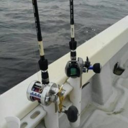 東京湾探釣隊ぼっち 釣果