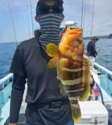 東京湾探釣隊ぼっち 釣果