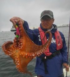 東京湾探釣隊ぼっち 釣果