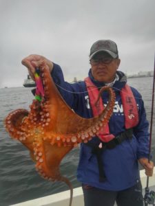 東京湾探釣隊ぼっち 釣果