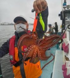 東京湾探釣隊ぼっち 釣果