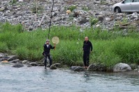 秩父フライフィールド 釣果