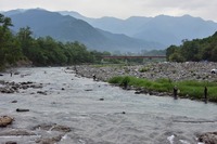 秩父フライフィールド 釣果