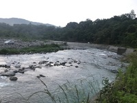 秩父フライフィールド 釣果