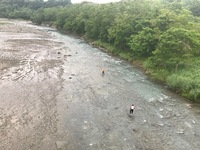 秩父フライフィールド 釣果