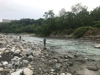 秩父フライフィールド 釣果