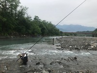 秩父フライフィールド 釣果