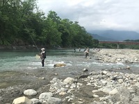 秩父フライフィールド 釣果