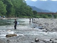 秩父フライフィールド 釣果