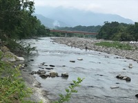 秩父フライフィールド 釣果