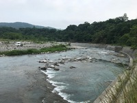 秩父フライフィールド 釣果