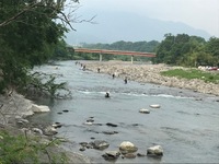 秩父フライフィールド 釣果
