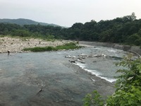 秩父フライフィールド 釣果