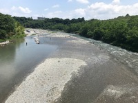 秩父フライフィールド 釣果