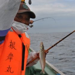 根岸丸 釣果
