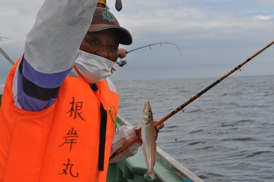 根岸丸 釣果
