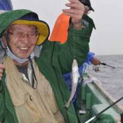 根岸丸 釣果