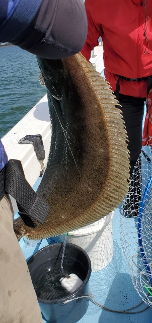 海晴丸 釣果