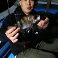 フィッシングガイド りょう 釣果