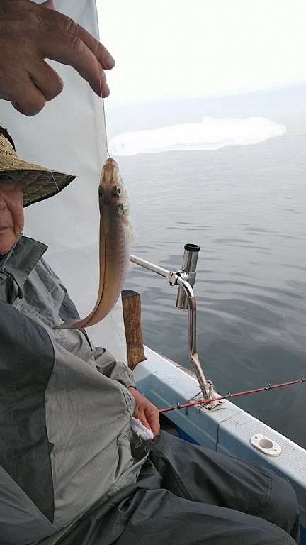 フィッシングガイド りょう 釣果