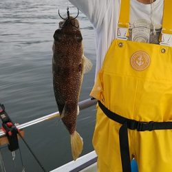 フィッシングガイド りょう 釣果