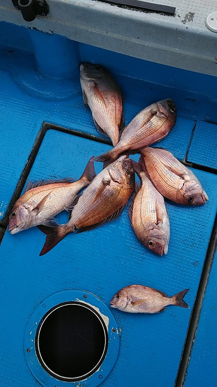 フィッシングガイド りょう 釣果