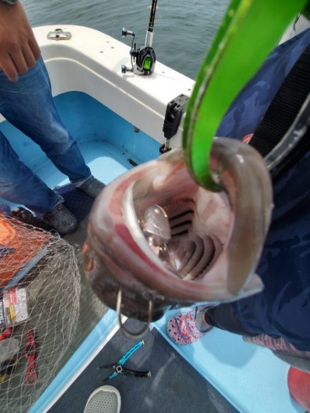 海晴丸 釣果