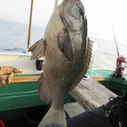 真祐丸 (しんゆうまる) 釣果