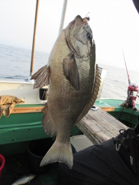 真祐丸 (しんゆうまる) 釣果