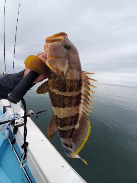 海晴丸 釣果