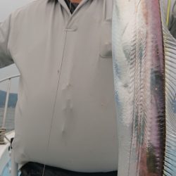 シースナイパー海龍 釣果