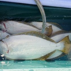 小樽港遊漁船SHAKE 釣果