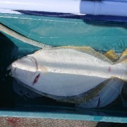 小樽港遊漁船SHAKE 釣果