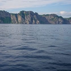 小樽港遊漁船ＳＨＡＫＥ 釣果