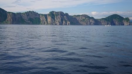 小樽港遊漁船ＳＨＡＫＥ 釣果