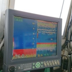 小樽港遊漁船ＳＨＡＫＥ 釣果