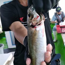 小島丸 釣果