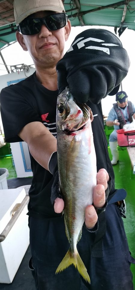 小島丸 釣果