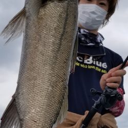 アマテラス 釣果